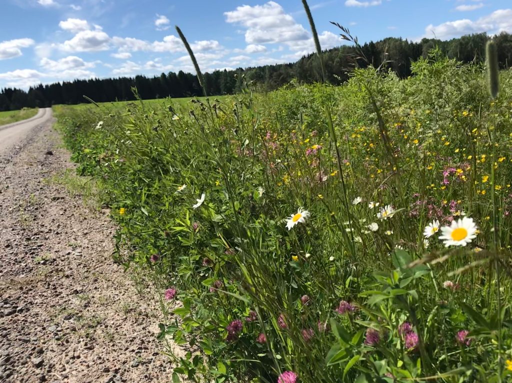 Sommar